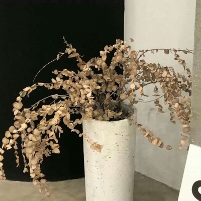 Furry兽设设计灵感合集FurryQQ群